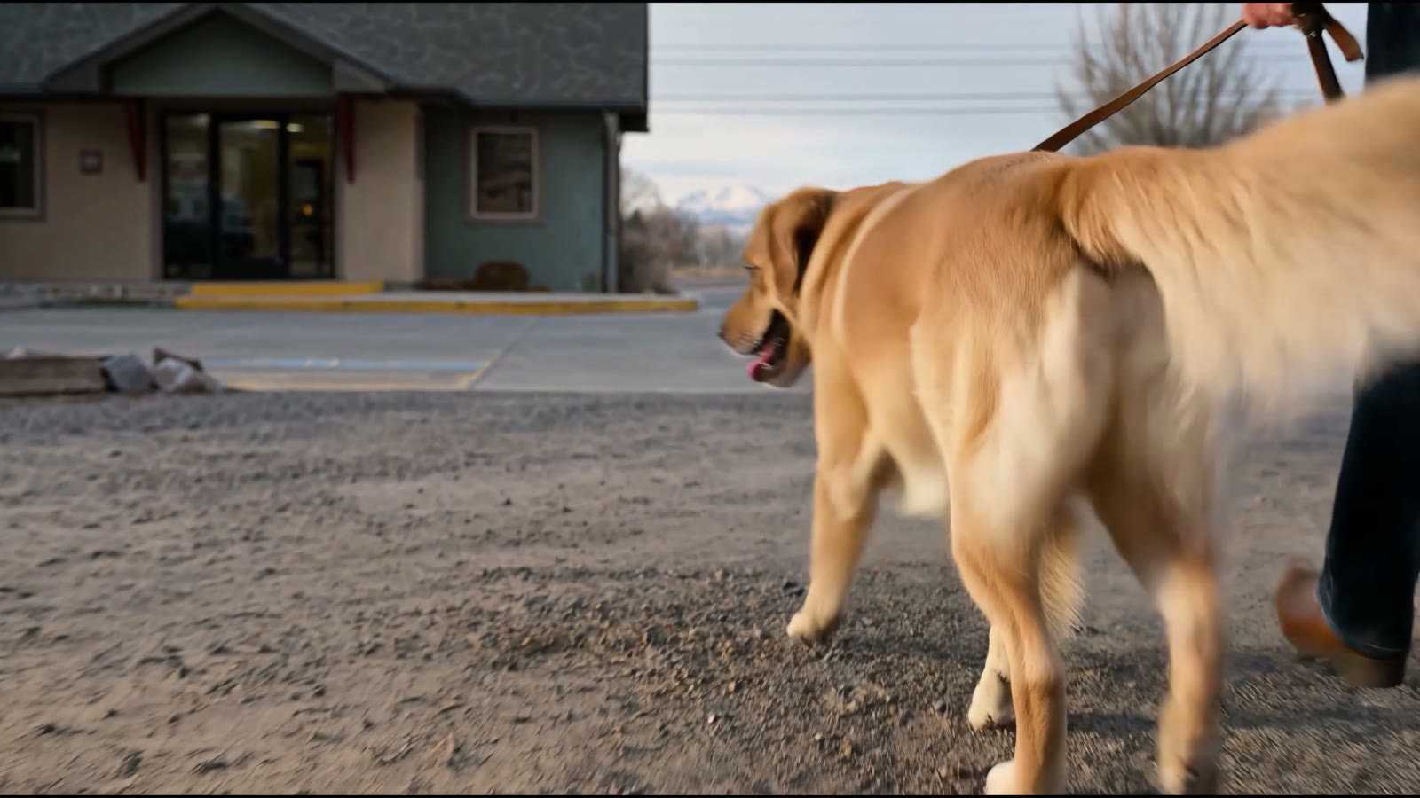 San Juan Veterinary